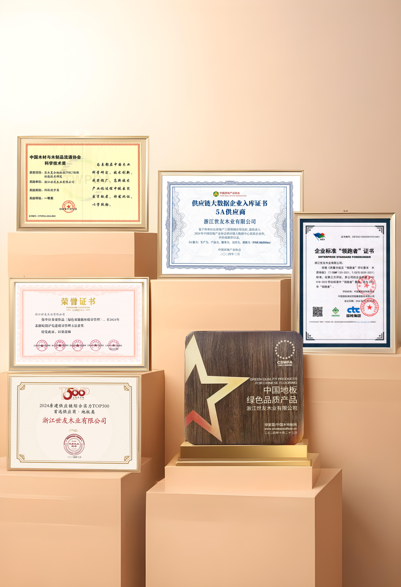 荣光迹忆 向新而行 丨2024年谈球吧体育官网入口大事记盘点