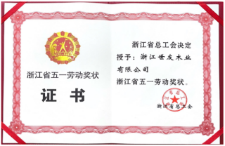 全省表彰 再启征程 | 谈球吧体育官网入口木业荣获“浙江省五一劳动奖状”